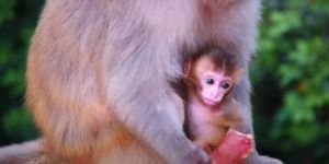 Bubble early 2022.jpg